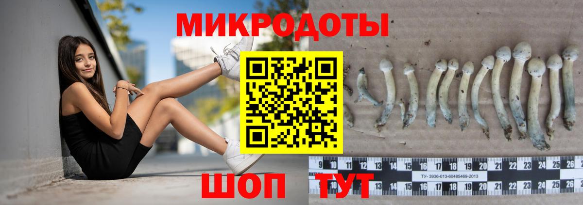 Псилоцибиновые грибы Cubensis Майкоп